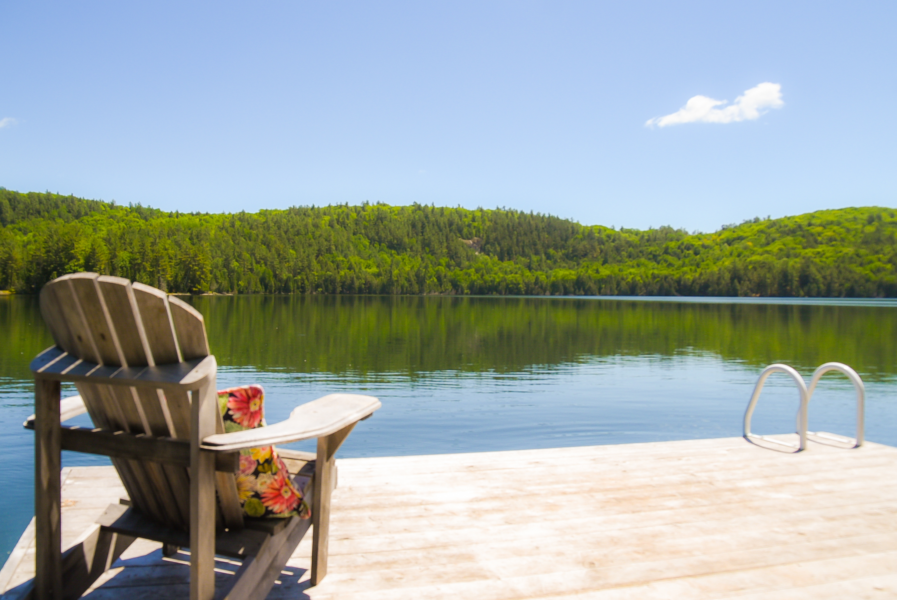 14 ch des cedres, Northfield, Quebec, Canada, 3 Bedrooms Bedrooms, ,2 BathroomsBathrooms,Cottage,Vacation Rental,Flower Moon Cottage,ch des cedres,1001