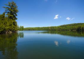 14 ch des cedres, Northfield, Quebec, Canada, 3 Bedrooms Bedrooms, ,2 BathroomsBathrooms,Cottage,Vacation Rental,Flower Moon Cottage,ch des cedres,1001